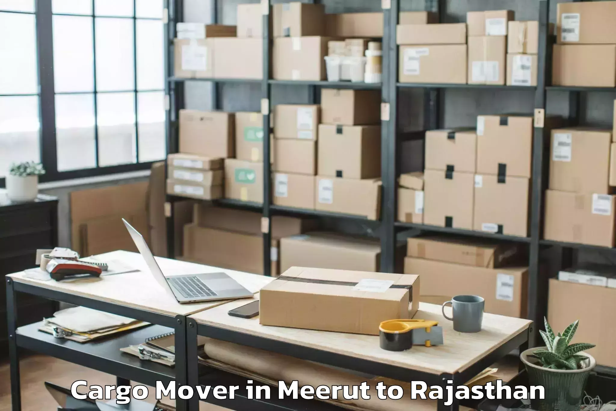 Hassle-Free Meerut to Bisalpur Cargo Mover